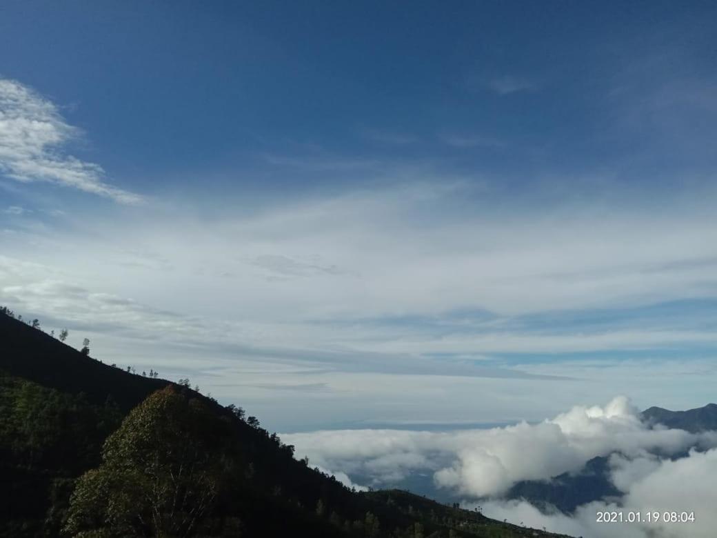 Forest Cyniciam Homestay Ohiya Luaran gambar