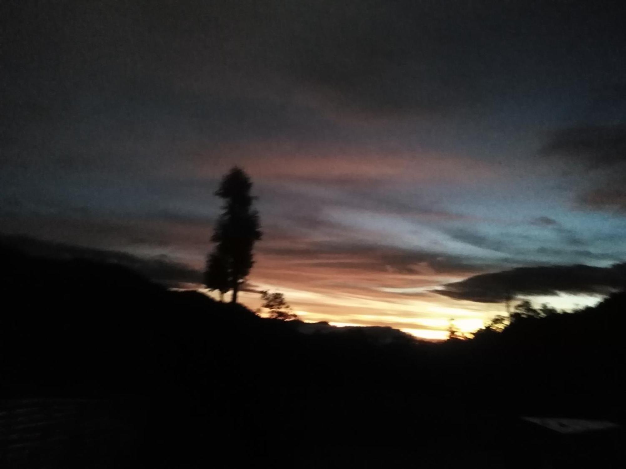 Forest Cyniciam Homestay Ohiya Bilik gambar