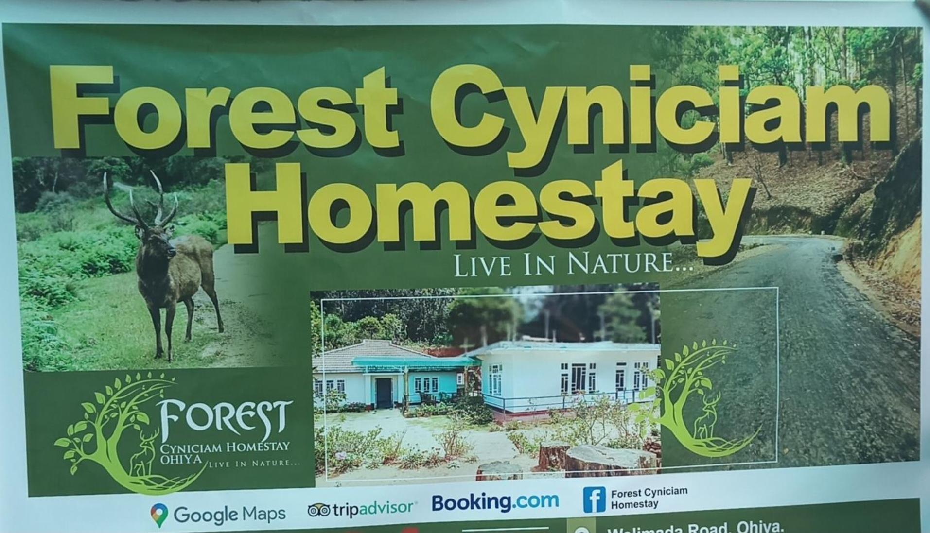 Forest Cyniciam Homestay Ohiya Luaran gambar