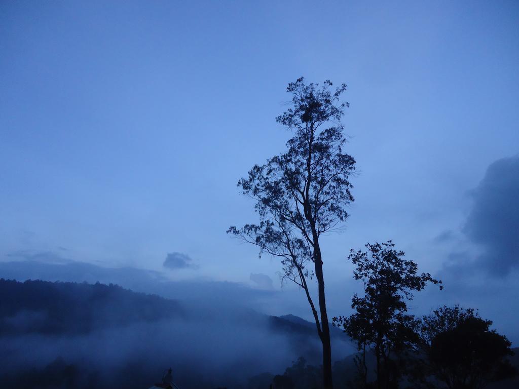 Forest Cyniciam Homestay Ohiya Luaran gambar