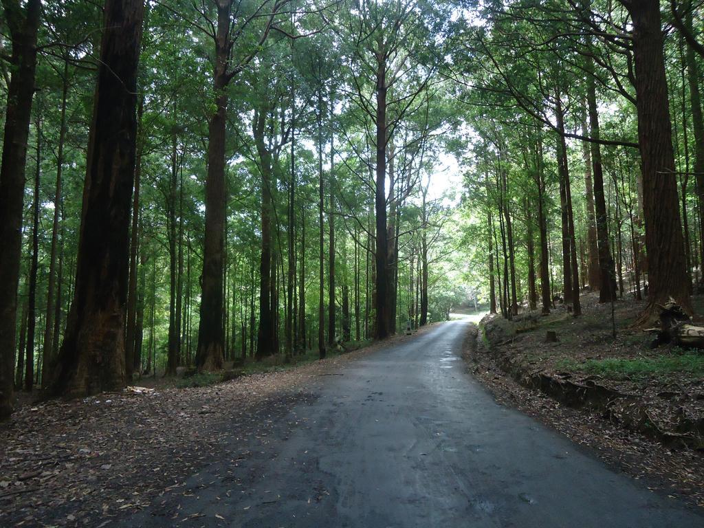 Forest Cyniciam Homestay Ohiya Luaran gambar