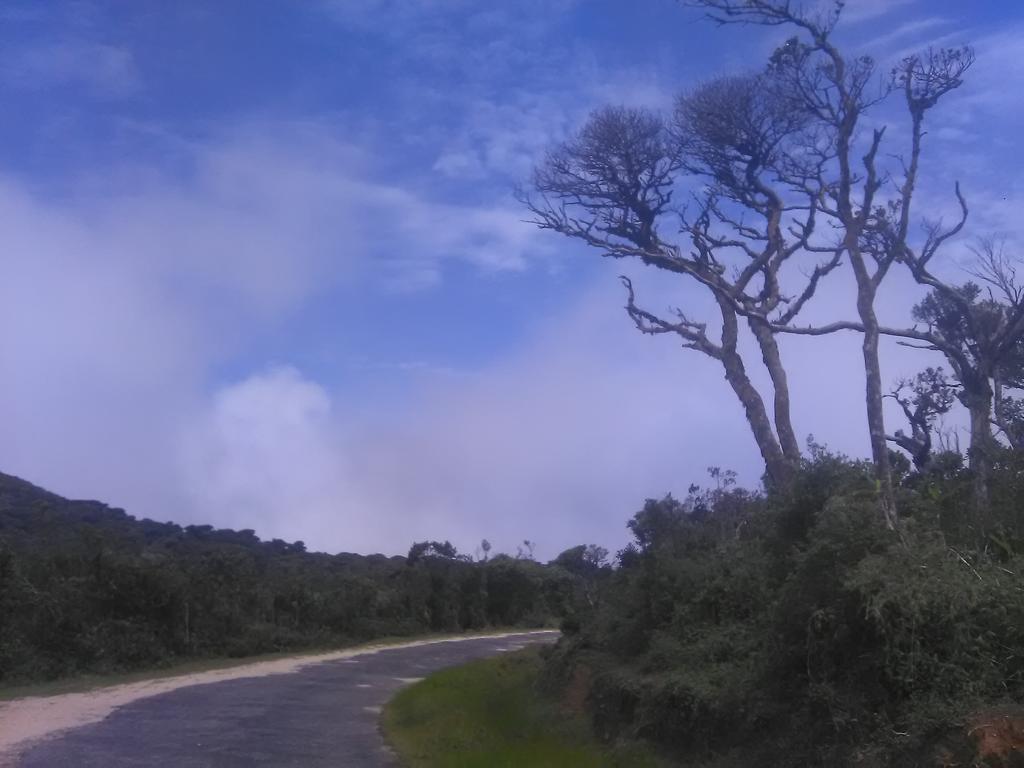 Forest Cyniciam Homestay Ohiya Luaran gambar