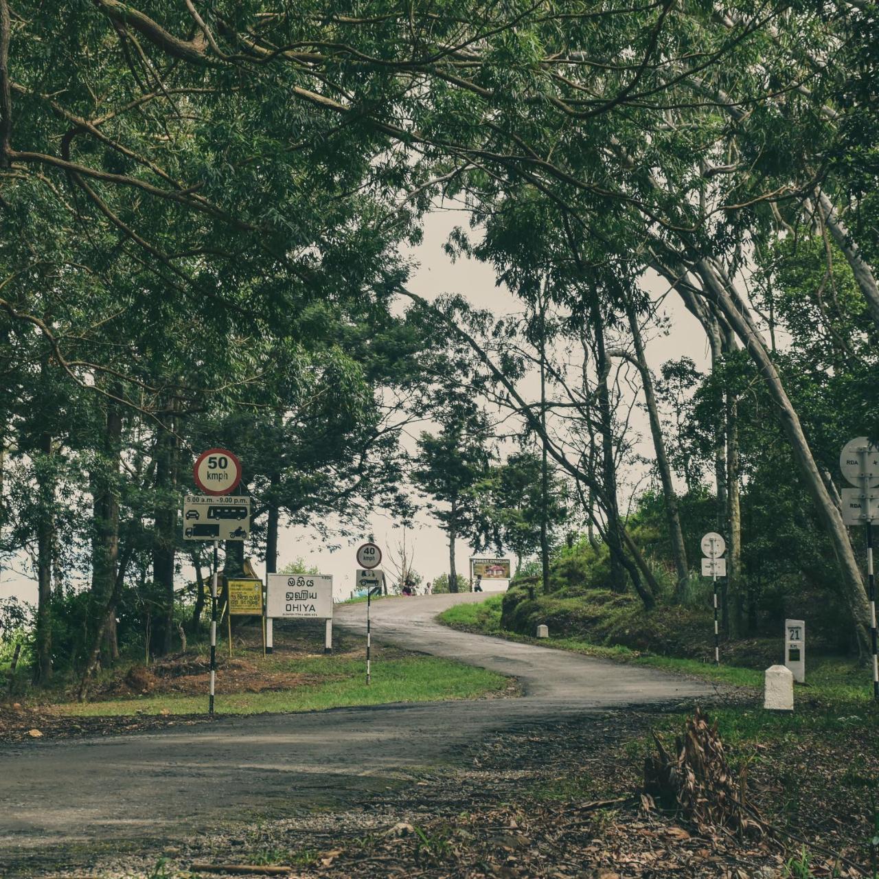 Forest Cyniciam Homestay Ohiya Luaran gambar