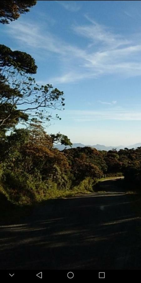 Forest Cyniciam Homestay Ohiya Luaran gambar